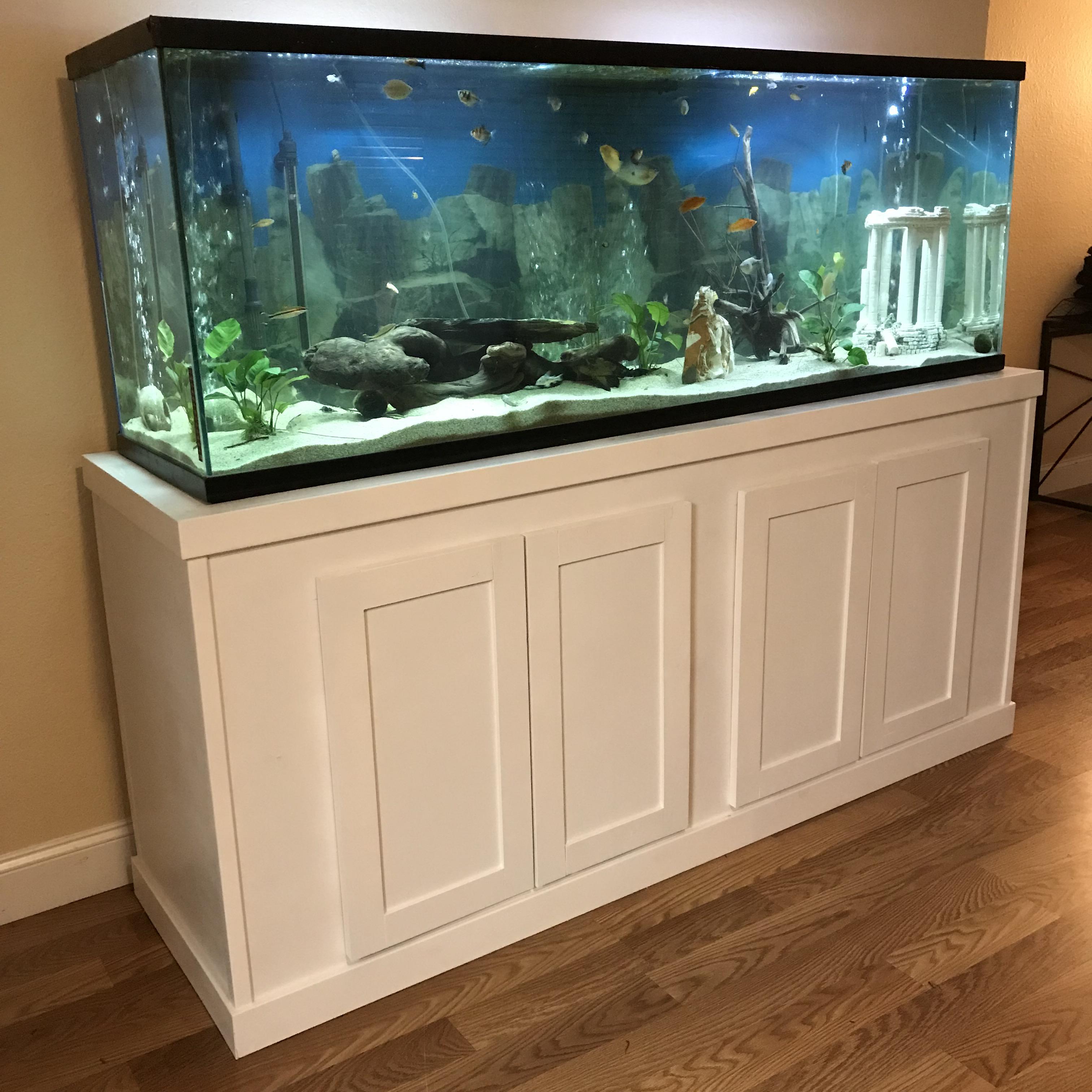 Decorated 125 Gallon Fish Tank