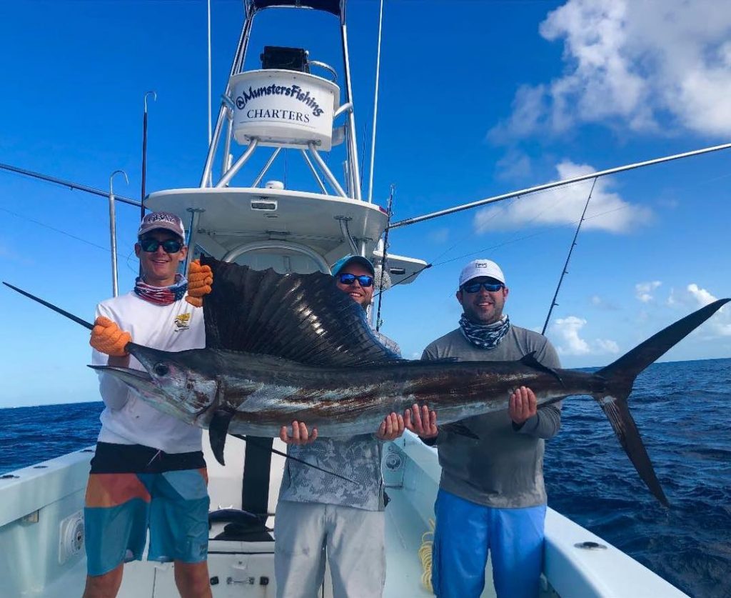 Sailfish and Swordfish Comparison