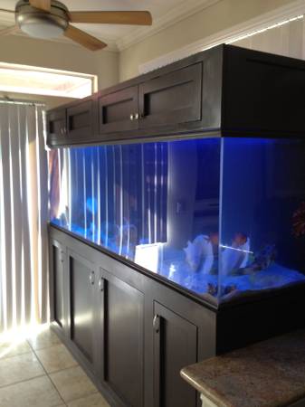 A beautifully aquascaped 300 gallon fish tank