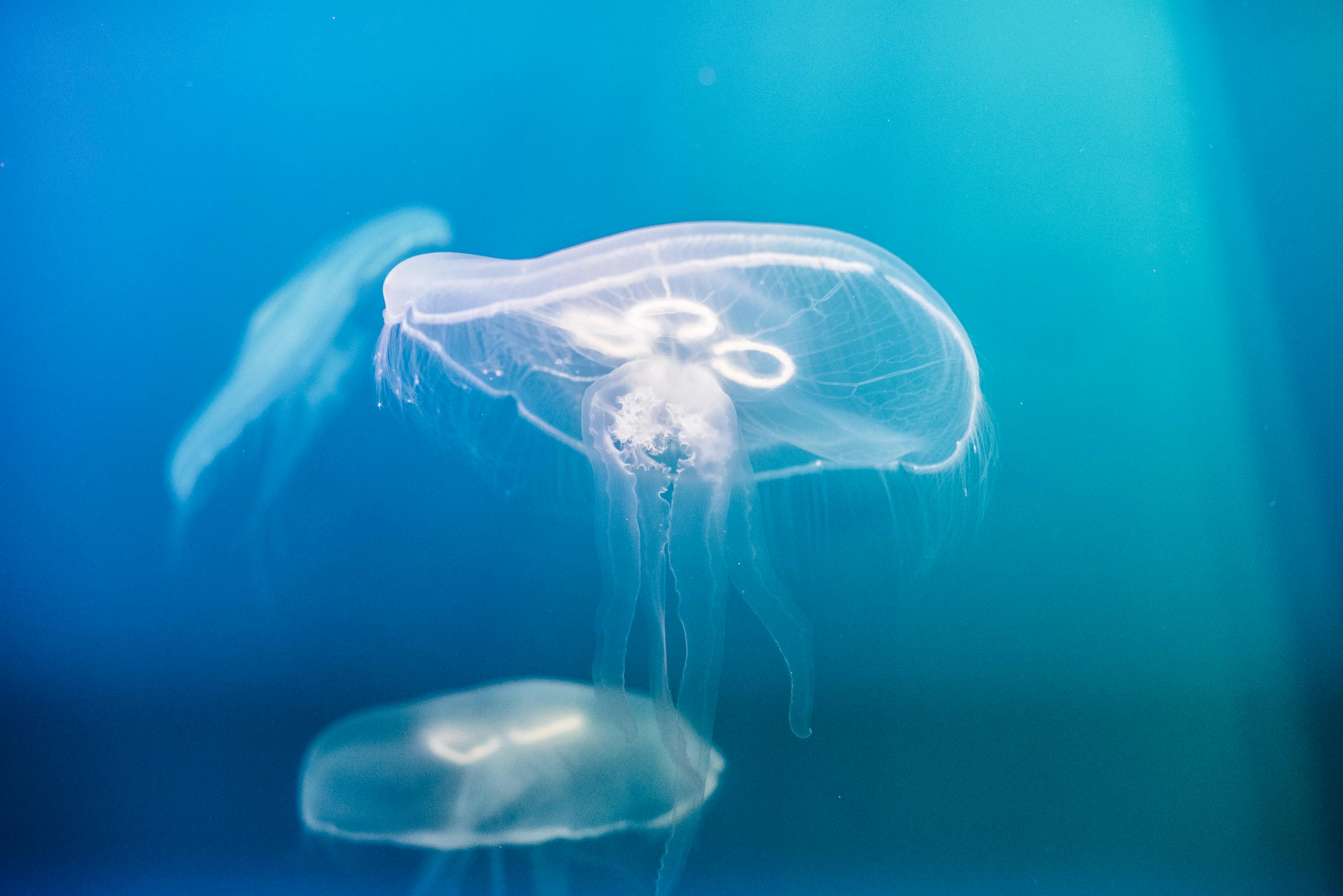 Interactive Activities at Austin Aquarium